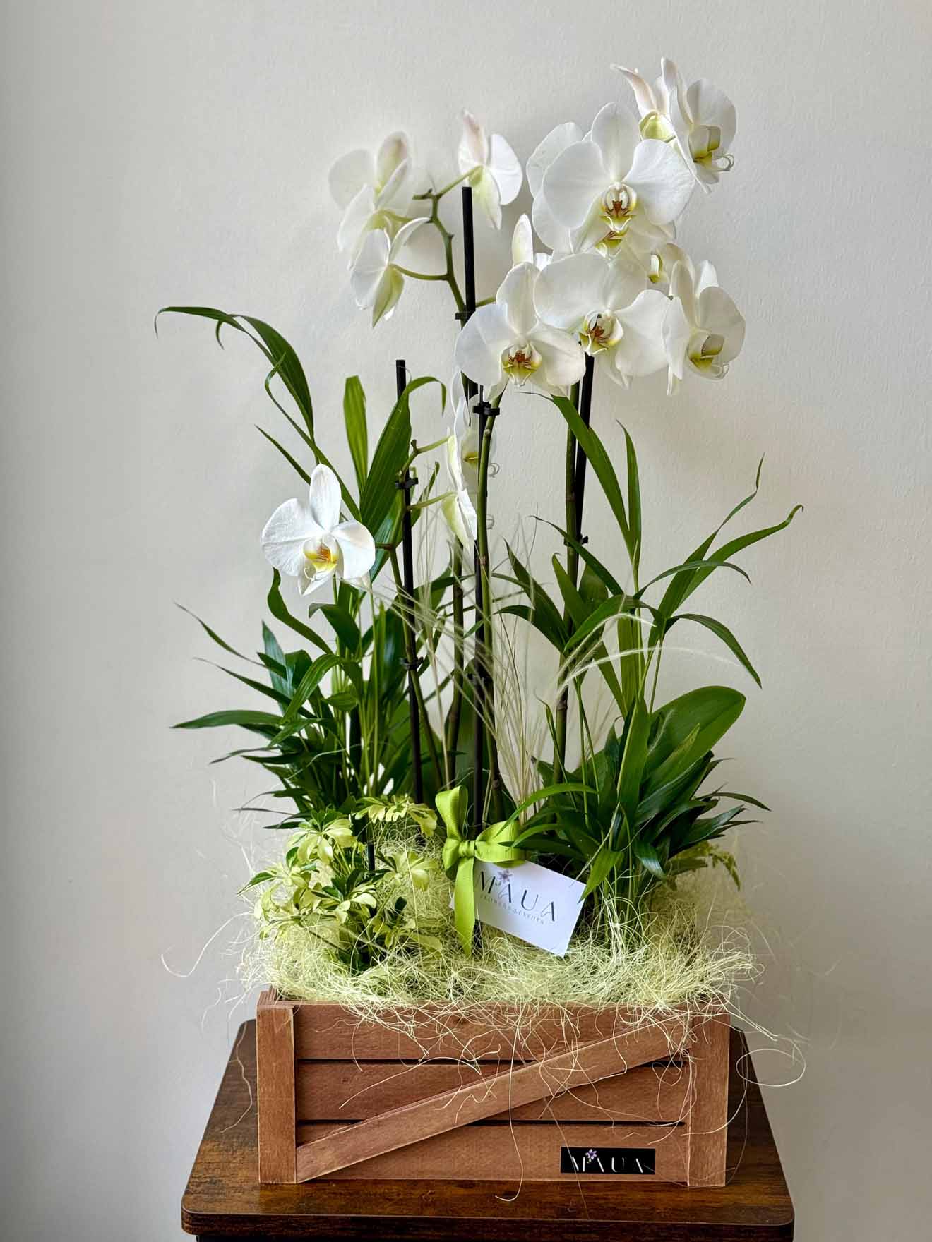 Botanic Bliss