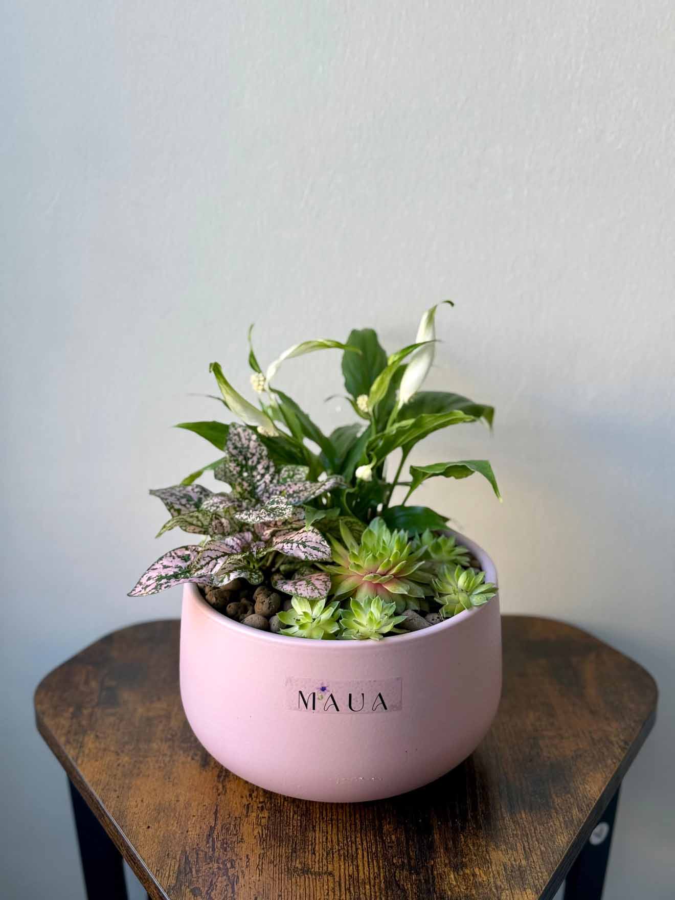 Serene Sprouts
