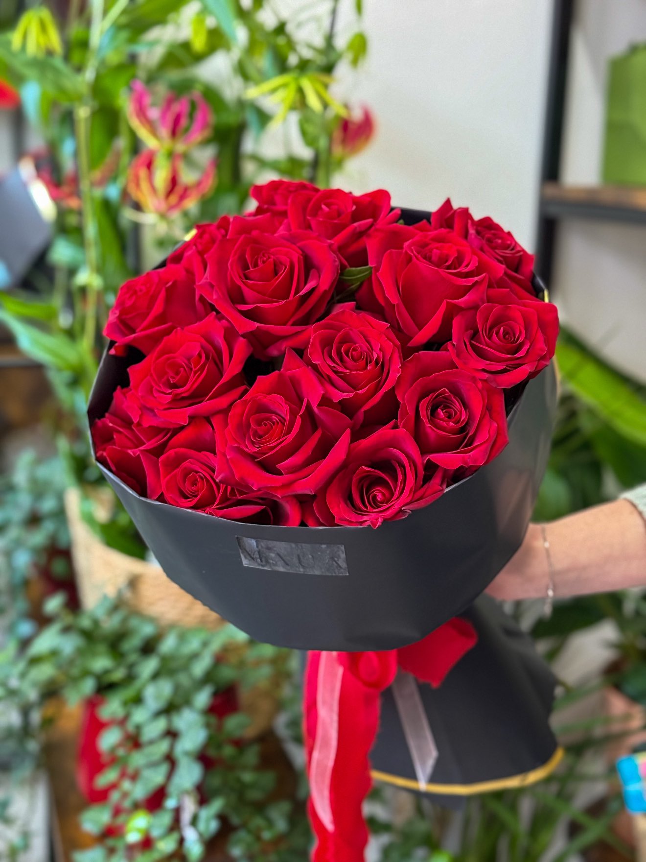 Wrapped in Romance