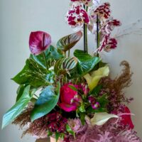 Zborul Fluturelui