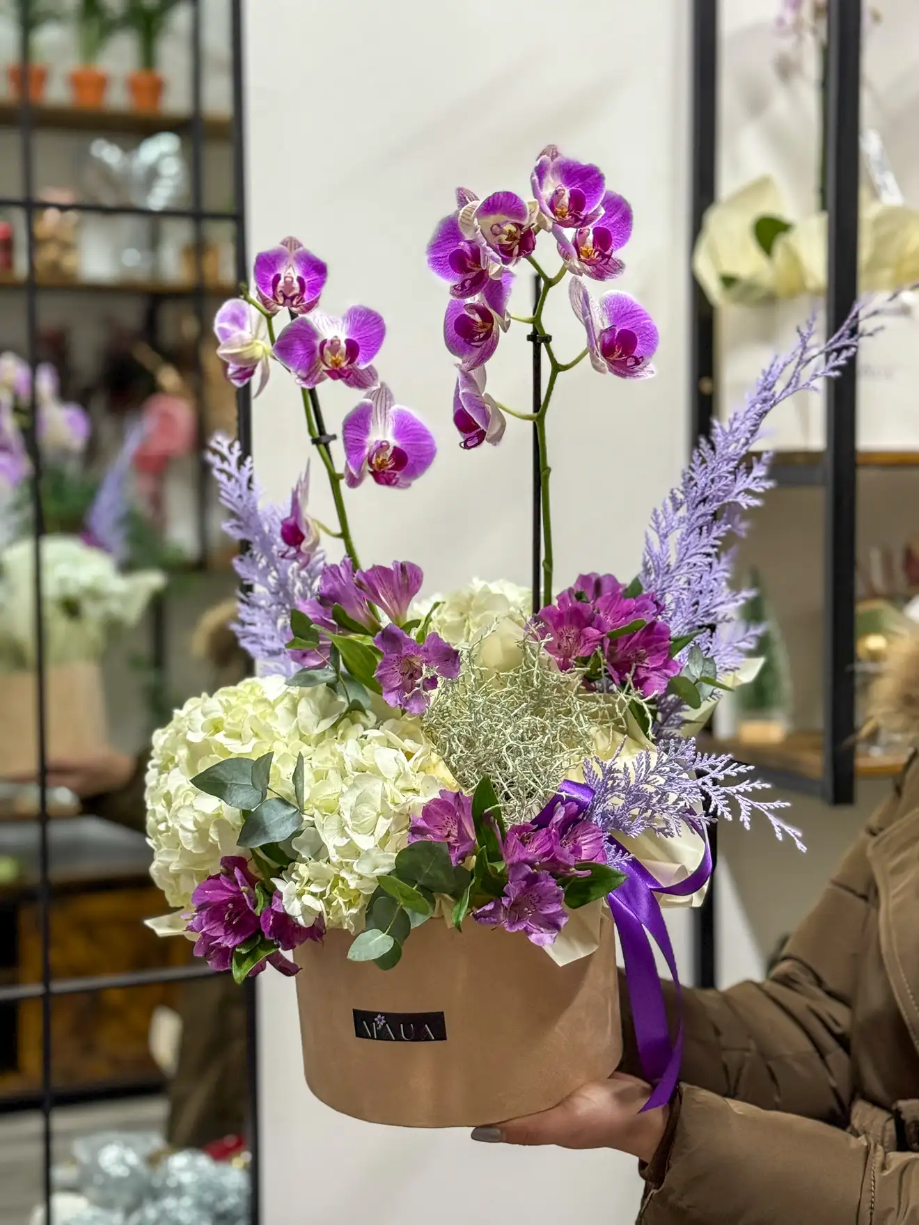 Simfonie Violet în Cutie