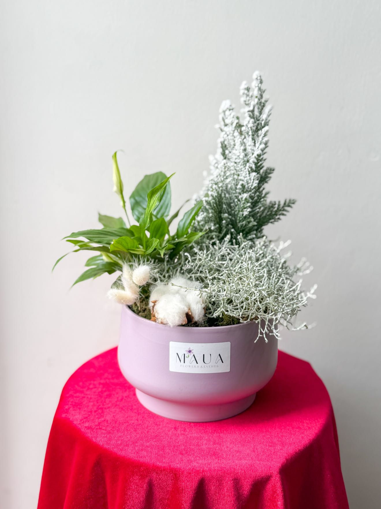 Compoziție de plante verzi și argintii în vas ceramic