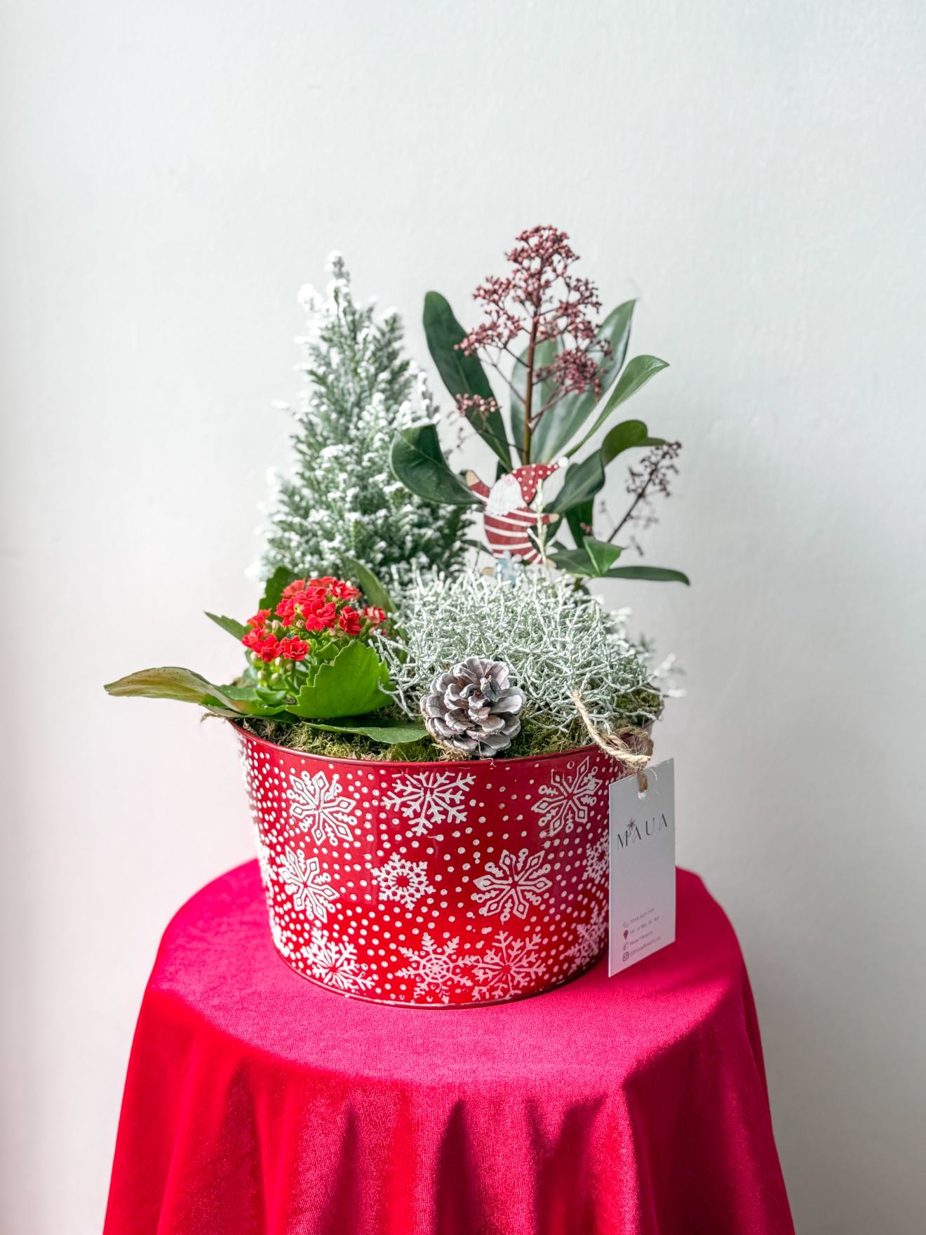 Mix de plante festive cu Kalanchoe și decor de Moș Crăciun