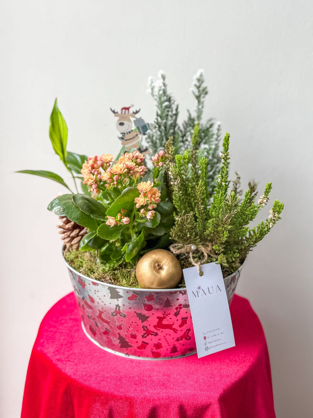 Mix plante festive în coș